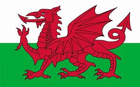 Urgent – action needed during the Welsh Assembly Consultation